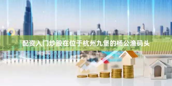 配资入门炒股在位于杭州九堡的杨公渔码头