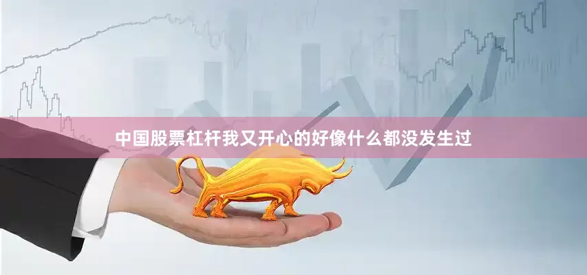 中国股票杠杆我又开心的好像什么都没发生过
